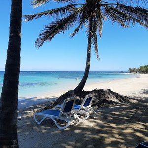 Meet your Posher, Barb